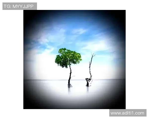 仰望中国足球明星的光辉历程与未来发展展望